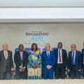 Djeneba Keita Hann préside le Conseil d’affaires tuniso-guinéen