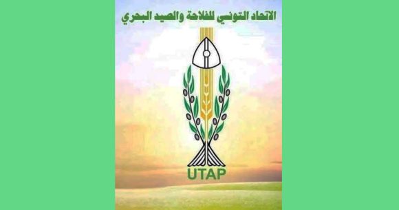 Utap | Pas de sécurité alimentaire sans préservation des filières agricoles  